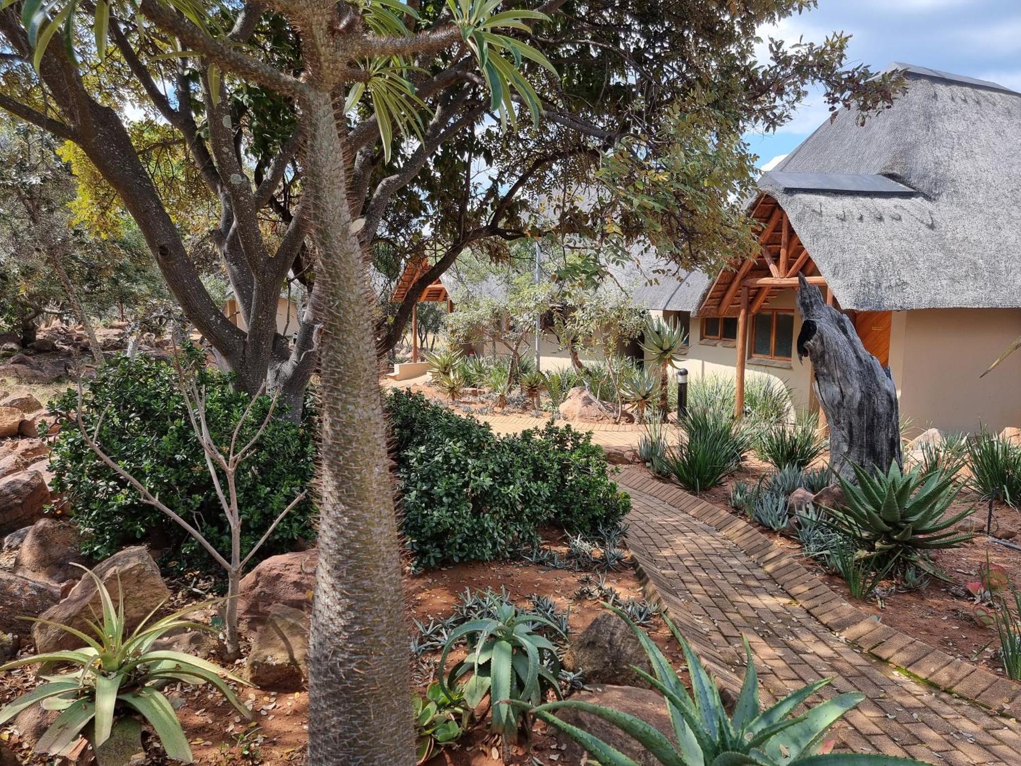 Matingwe Lodge Hartbeestfontein Exterior photo